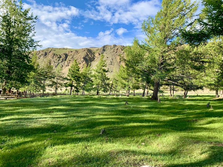 Участок 30,3 сот. (ИЖС)