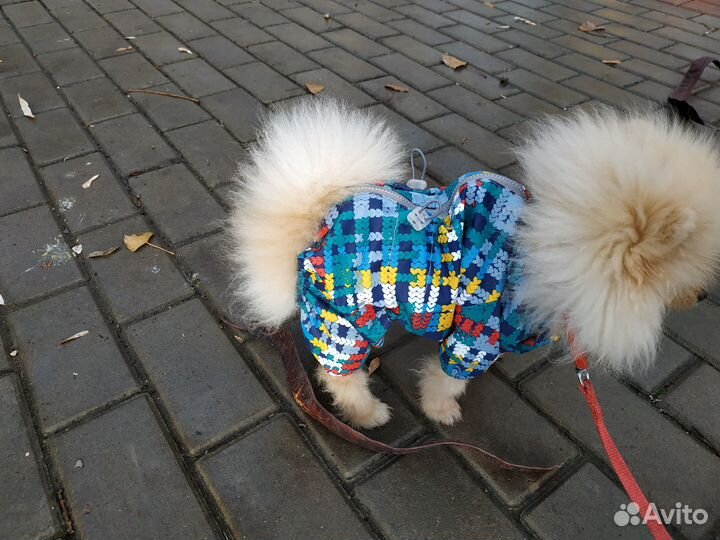 Комбинезон защитный многоразовый