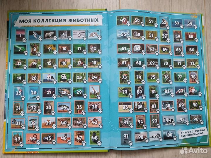 Книга Живая планета 3d пуд