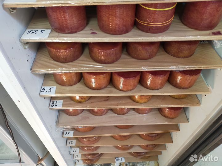 Сыр Винный полутвердый с Алтая Доставка