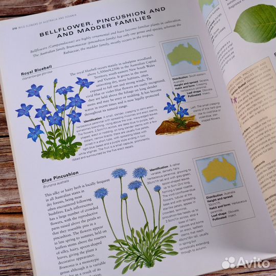 Винтажная книга о природе цветы