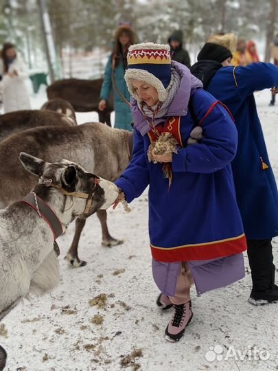 Экскурсия Саамская деревня Самь Сыйт