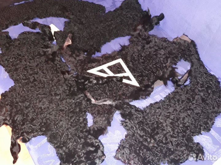 Шкурки каракуля