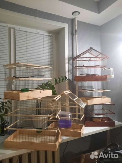 Клетка Для Птиц