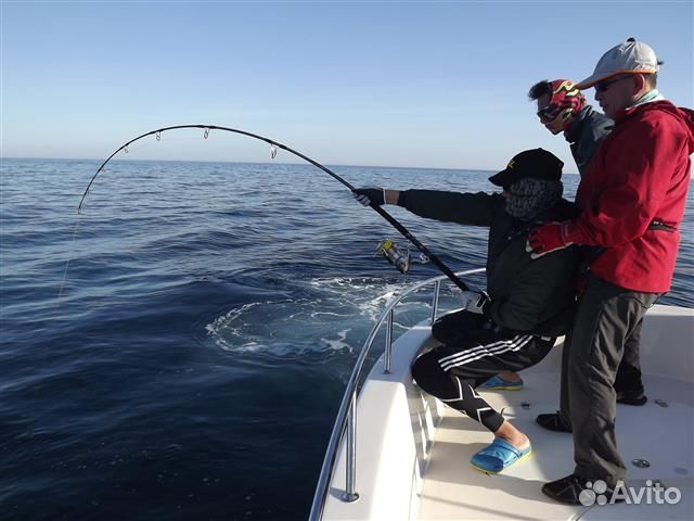 Удилище Daiwa Saltiga Blue Fin