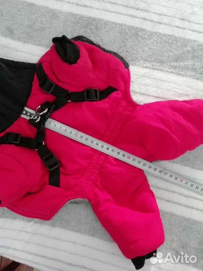 Одежда для собак