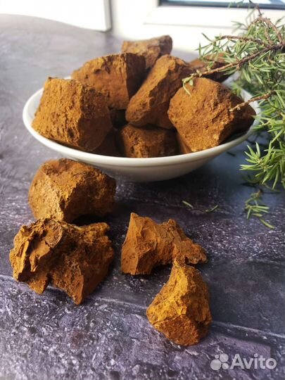 Березовый гриб чага сухая очищенная