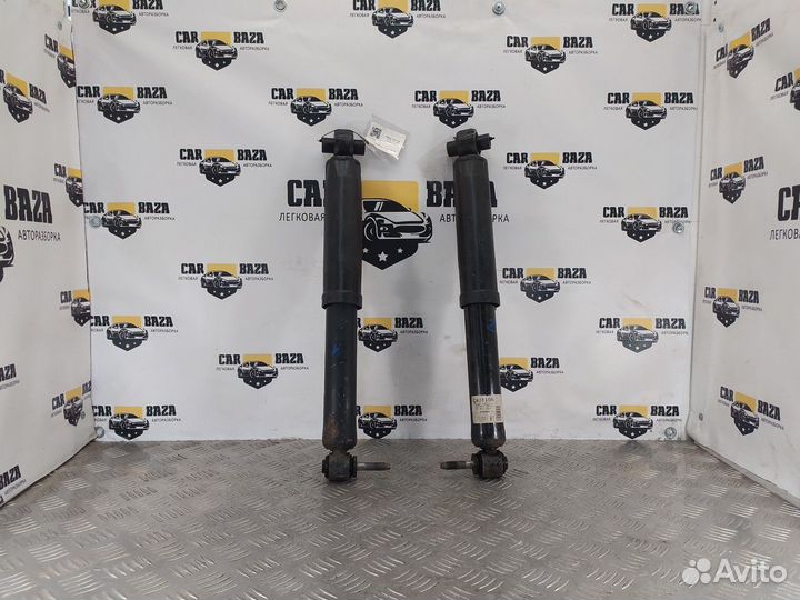 Амортизаторы задние (комплект) R\L