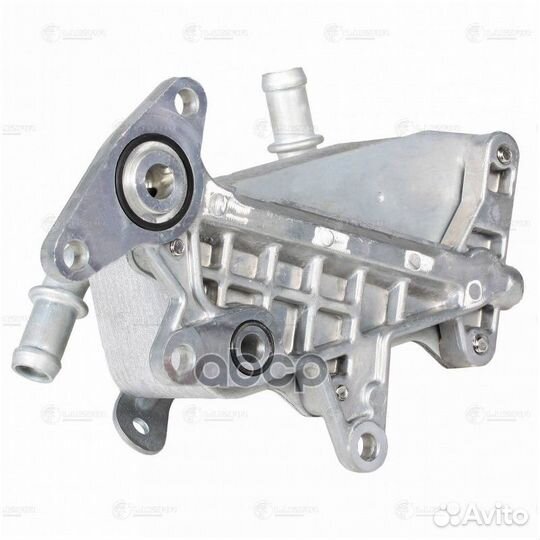 Радиатор масляный volkswagen polo 05/skoda RAP