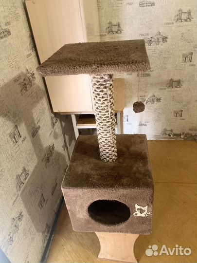 Когтеточка домик для кошки бу