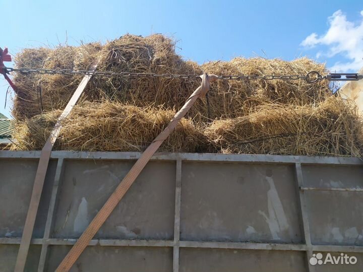 Сено люцерны