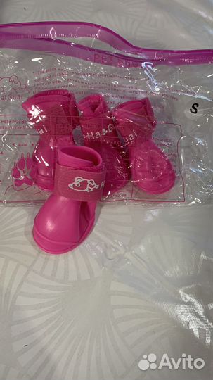 Одежда для маленьких собак