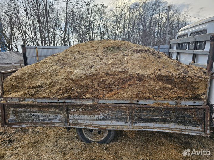 Конский навоз