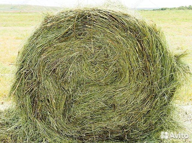 Сено луговое