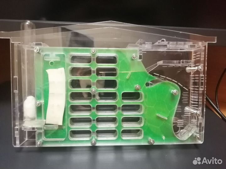 Муравьиная ферма вертикальная б/у/формикарий