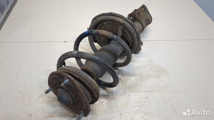 Амортизатор подвески Hyundai H-1 Starex, 2010