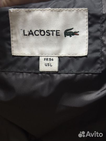 Пуховик мужской Lacoste