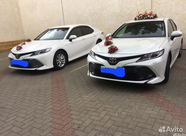 Трансфер Toyota Camry