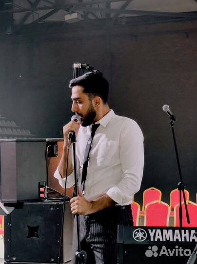 Вокалист на праздник, вокал, певец