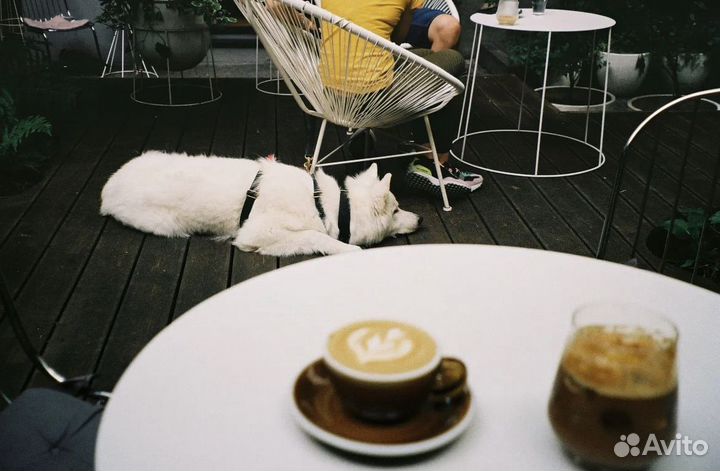 Пленочный фотоаппарат Olympus LT zoom