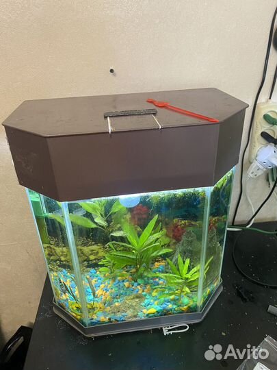 Аквариум