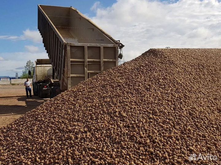 Керамзит с доставкой