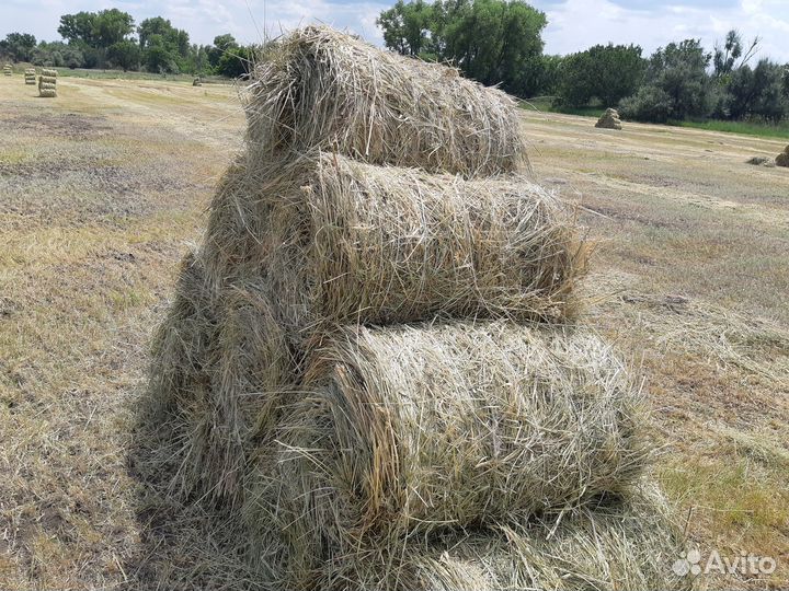 Продажа сена в рулонах