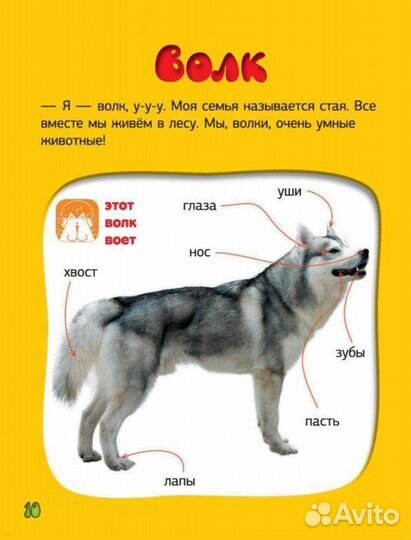 Большая говорящая книга с дополненной реальностью