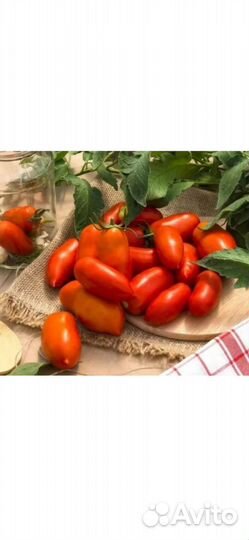 Семена коллекционных сортов томатов