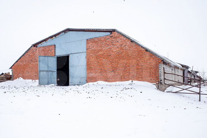 Действующая животноводческая ферма 1020.1 м²