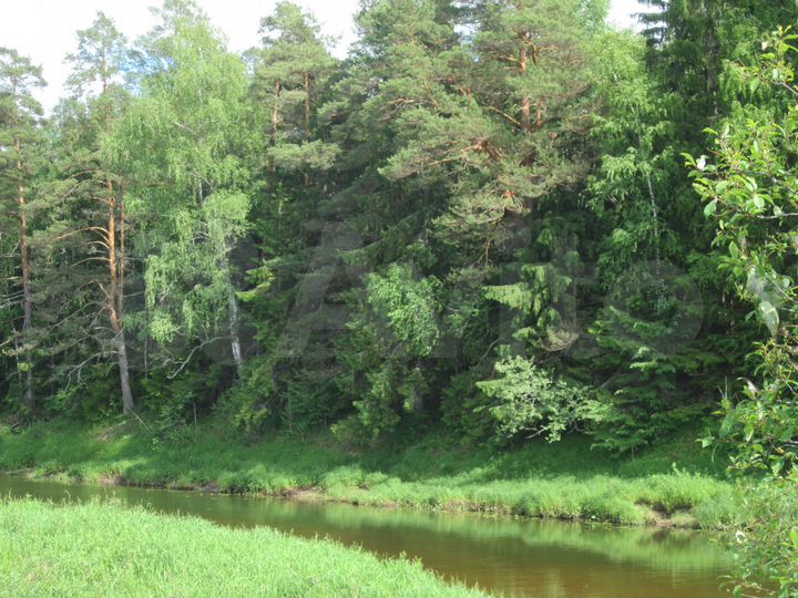 Участок 36 га (ИЖС)