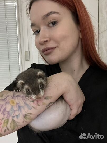 Репетитор по биологии