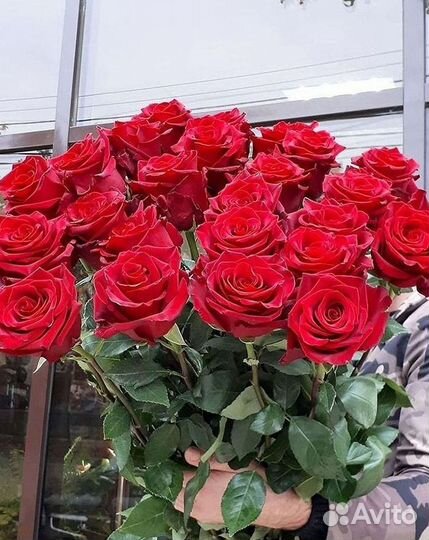 Высокие Розы с Доставкой