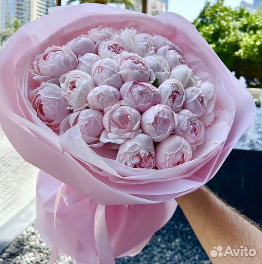 Пионы 101 Роза