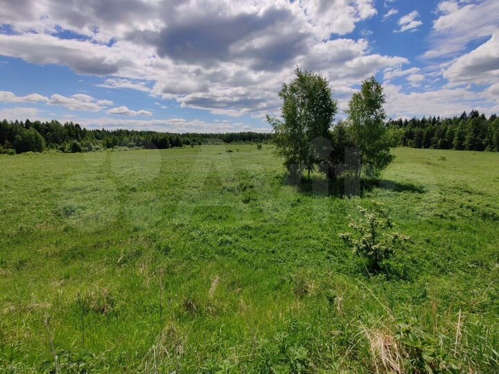 Участок 55,4 га (СНТ, ДНП)