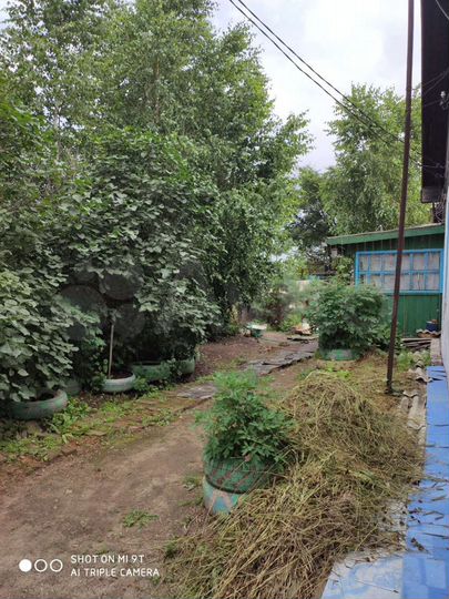 Дом 70 м² на участке 10 сот.