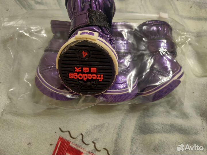 Одежда и обувь для собак средних пород