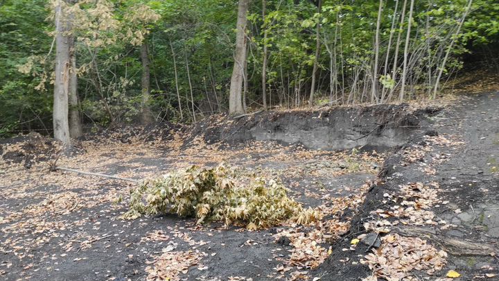 Участок 6 сот. (ИЖС)