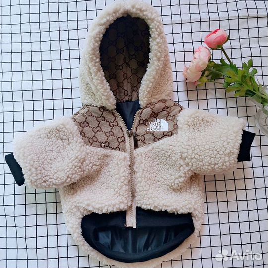 Костюм для маленьких собак