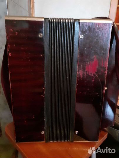 Баян Кирилловский. Северная Артель