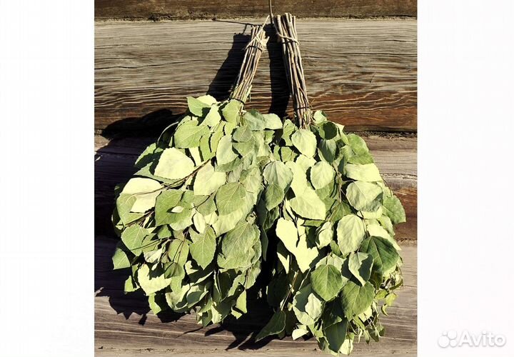 Веники для бани, берёзовые, пихтовые