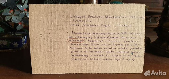 Засл.х. РФ Н. Шемаров « Большая вода » 1950-е г