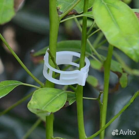 Клипсы для подвязки растений новые (набор 50 шт)