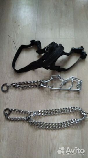 Ошейник для собак