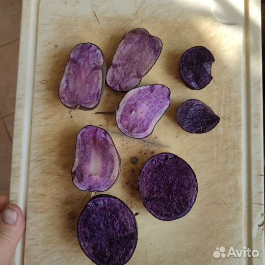 Семена фиолетового картофеля для диабетиков