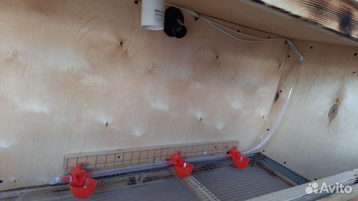 Брудер для цыплят