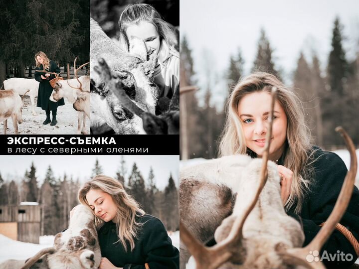 Фотограф Санкт-Петербург