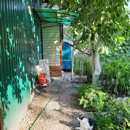 Дом 60,8 м² на участке 7,2 сот.