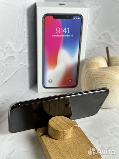 iPhone X, 256 ГБ
