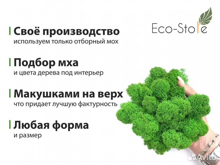 Логотип из мха 90 см